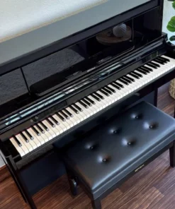ROLAND LX-6 PE