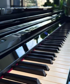ROLAND LX-6 PE