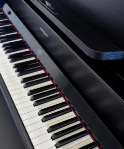 ROLAND LX-9 CB