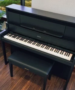 ROLAND LX-9 CB