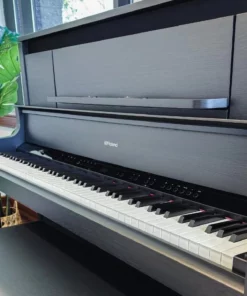ROLAND LX-9 CB
