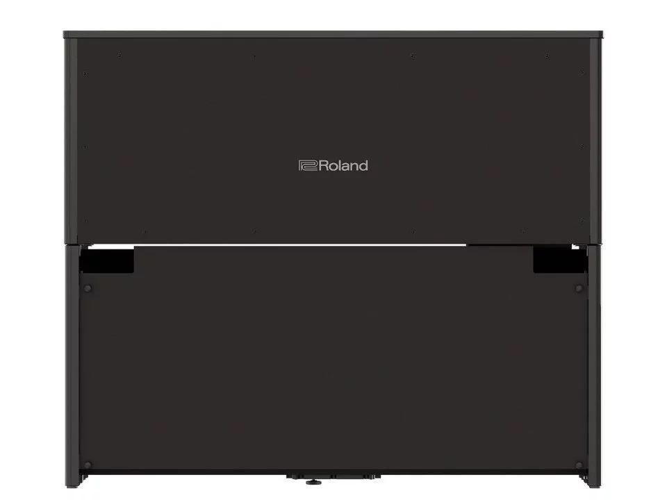 ROLAND LX-9 PE – Mặt sau và hệ thống dây đàn Roland
