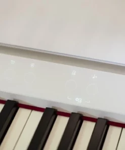 ROLAND LX-9 PW