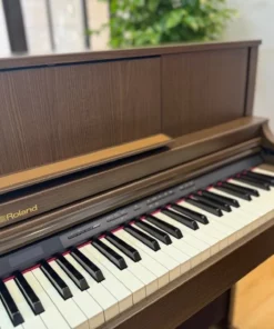 ROLAND LX-7 BW