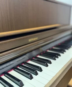 ROLAND LX-7 BW