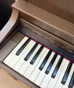 ROLAND LX-7 BW