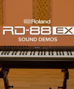 ROLAND RD-2000 EX Stage Piano