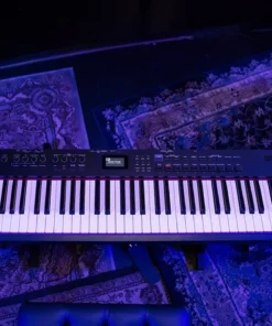 ROLAND RD-88
