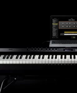 ROLAND RD-88