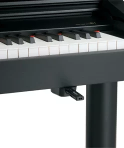 Roland RG-1F PE