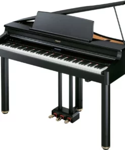 Roland RG-1F PE