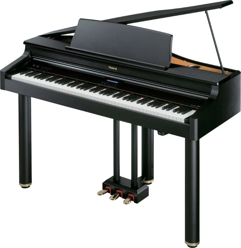Roland RG-1F PE