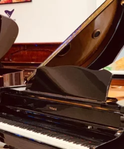 ROLAND RG-7F PE