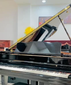 ROLAND RG-7F PE