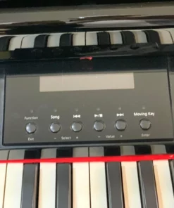 ROLAND RG-7F PE