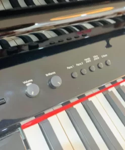 ROLAND RG-7F PE