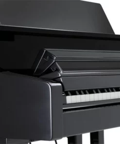 ROLAND RG-7F PE