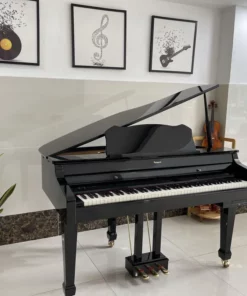 ROLAND RG-3F PE