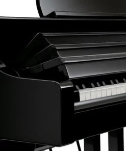 ROLAND RG-3F PE