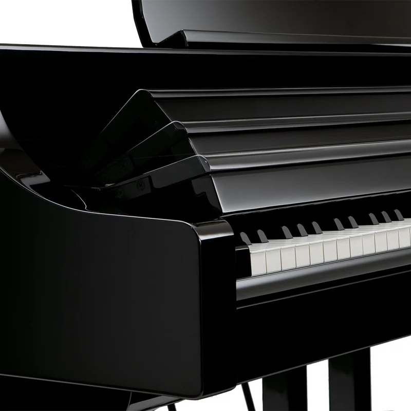 ROLAND RG-3F PE - Nah Music