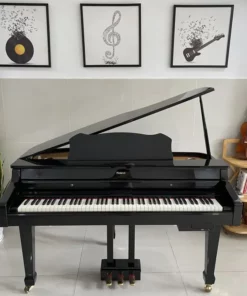 ROLAND RG-3F PE