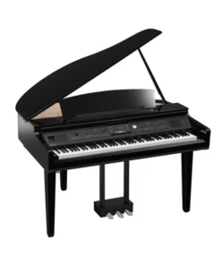 ROLAND RG-3F PE