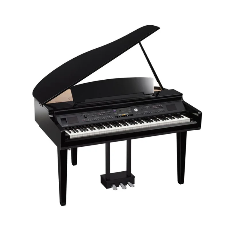 ROLAND RG-3F PE - Nah Music