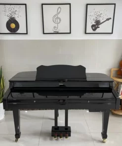 ROLAND RG-3F PE