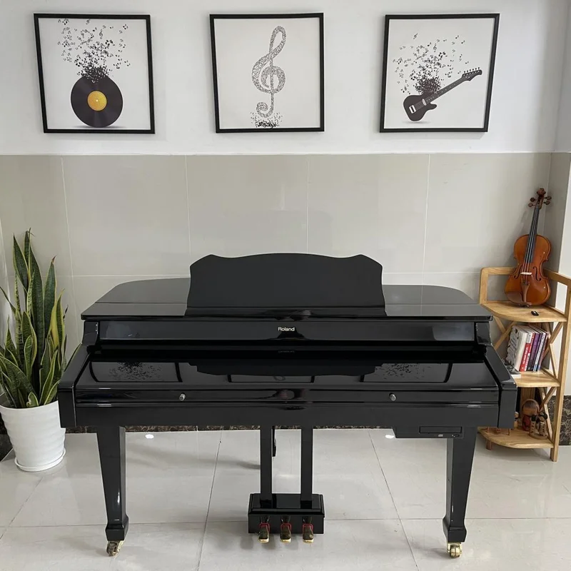 ROLAND RG-3F PE - Nah Music