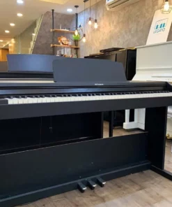 ROLAND RP-102 (Used)