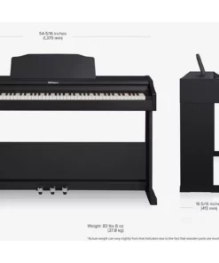 ROLAND RP-102 (Used)