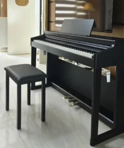 ROLAND RP-107