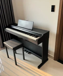 ROLAND RP-107