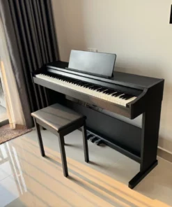 ROLAND RP-107