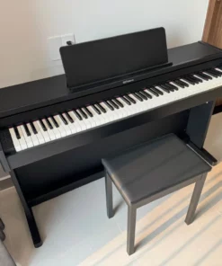 ROLAND RP-107