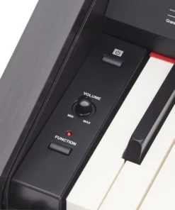 ROLAND RP-30 (USED)