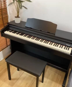 ROLAND RP-30