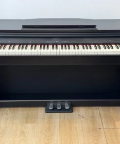 ROLAND RP-30