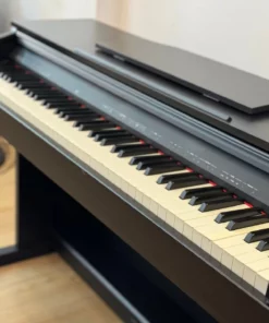 ROLAND RP-30