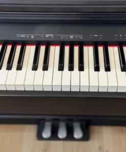 ROLAND RP-30