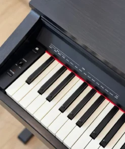 ROLAND RP-30