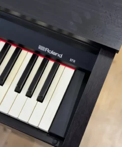 ROLAND RP-30