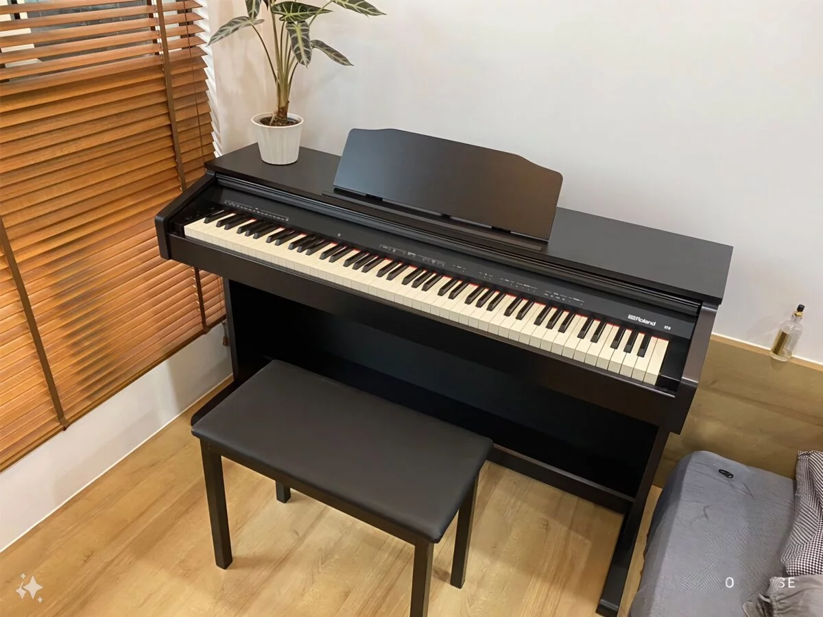 ROLAND RP-30