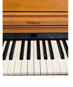 ROLAND RP-401 LW