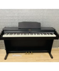 ROLAND RP-401 LW