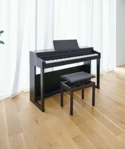 ROLAND RP-701 CB