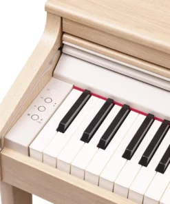 ROLAND RP-701 CB