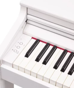 ROLAND RP-701 CB