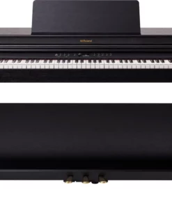 ROLAND RP-701 CB