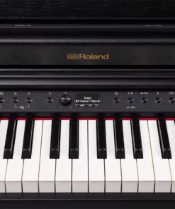 ROLAND RP-701 CB